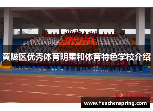 黄陂区优秀体育明星和体育特色学校介绍